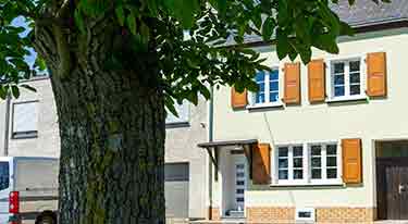 Mosel-Ferienhaus in Schweich