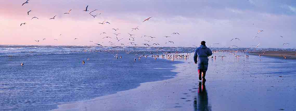 Spaziergänger am Strand von Blavand (Foto: Visit Denmark, W.Ferchland)