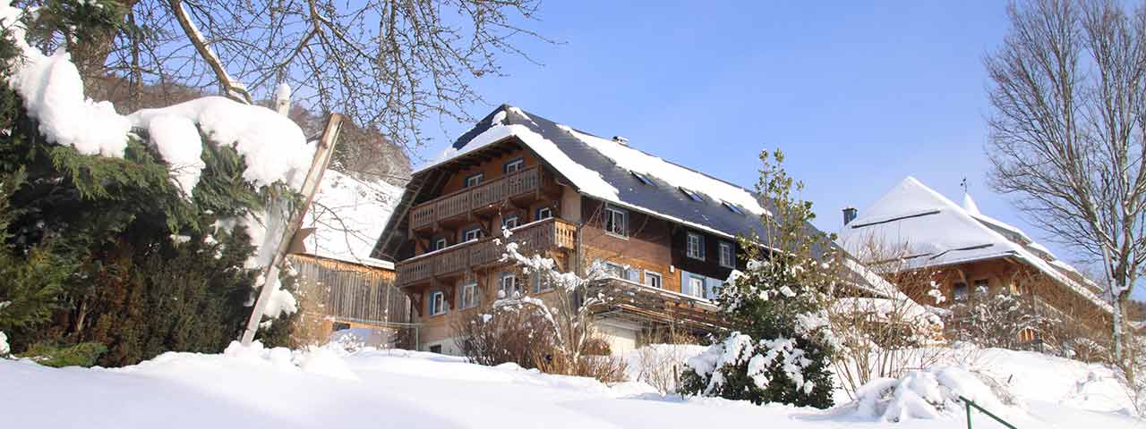 Unser Haus DBW/I/32 in Bernau im Schwarzwald