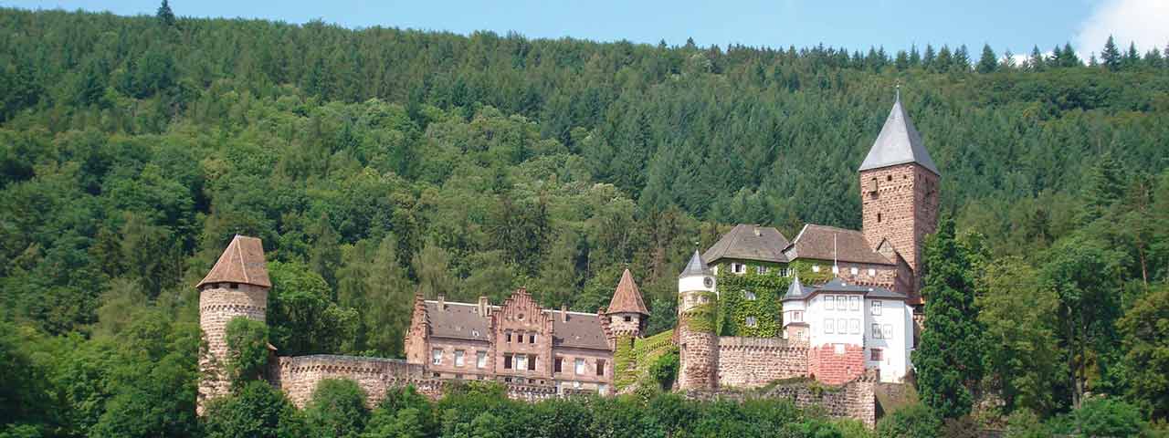 Burg Hirschhorn am Neckar im südlichen Odenwald (Foto: Touristikgemeinschaft Odenwald e.V.) 