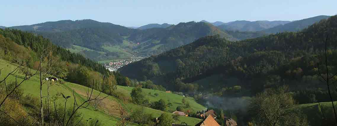 Schwarzwaldidylle bei Hausach und Haslach im Kinzigtal (Foto: Rainer Sturm, pixelio.de)