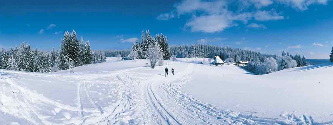 Skilanglauf im Ferienland Schwarzwald (Foto: Das Ferienland)