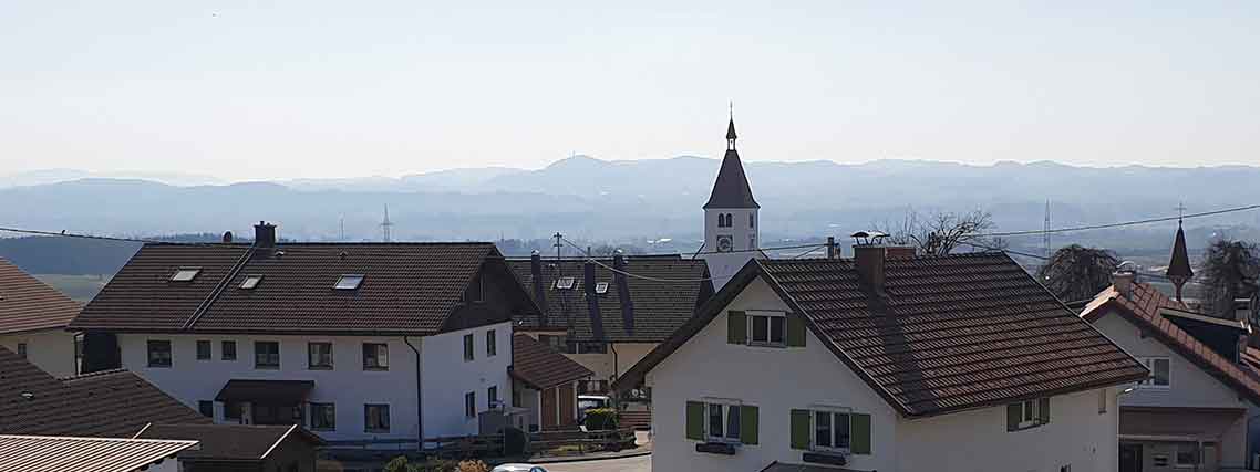 Blick auf Haldenwang mit den Allgäuer Alpen (Foto: Thomas Grether)