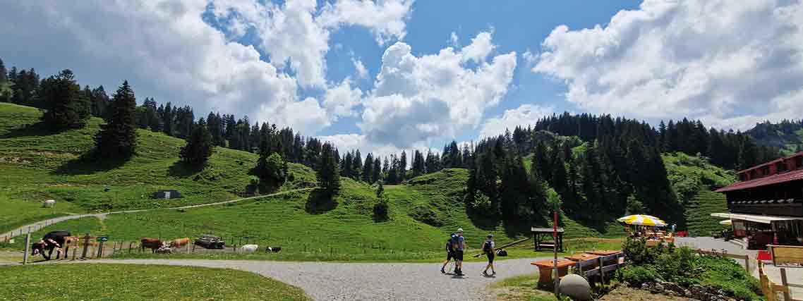 An der Alpe Hochwies zwischen Oberstaufen und Hochhädrich (Vorarlberg) (Foto: Ingo Bauer