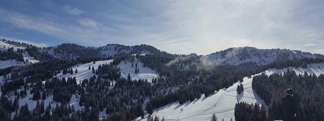 Winterlandschaft bei Oberstaufen (Foto: Ingo Bauer)