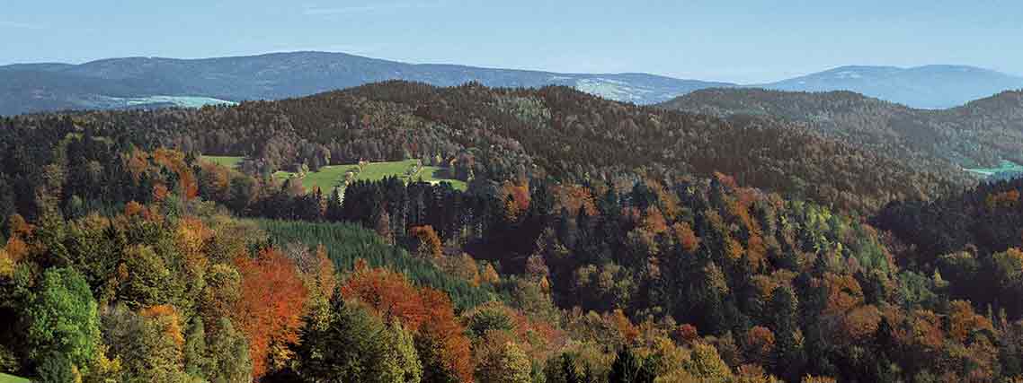 Rund um den Haidel (1167 m) im Bayerischen Wald (Foto: LKR Freyung-Grafenau)