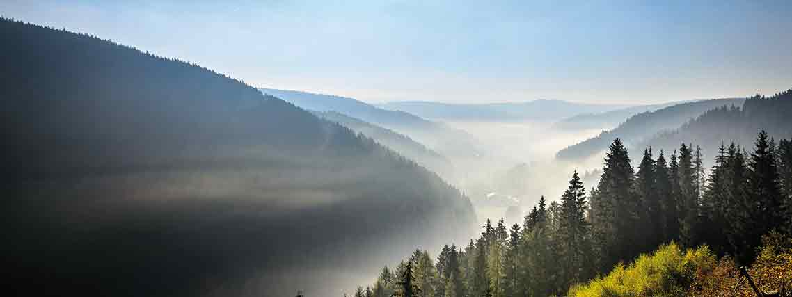 Die Weiten des Thüringer Waldes (Foto: Peter Hill)