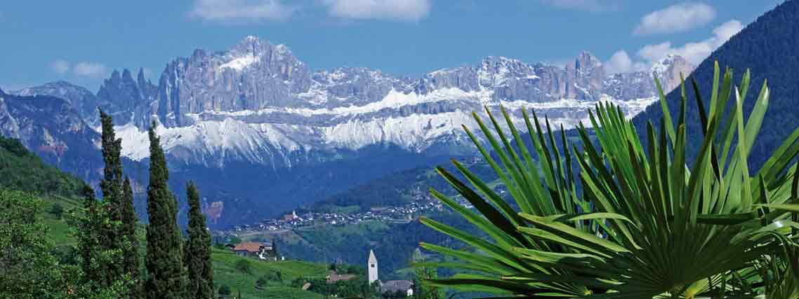 Die schneebedeckte Rosengartengruppe der Dolomiten, darunter Palmen und Zypressen. (Foto: Südtirol Marketing GmbH)