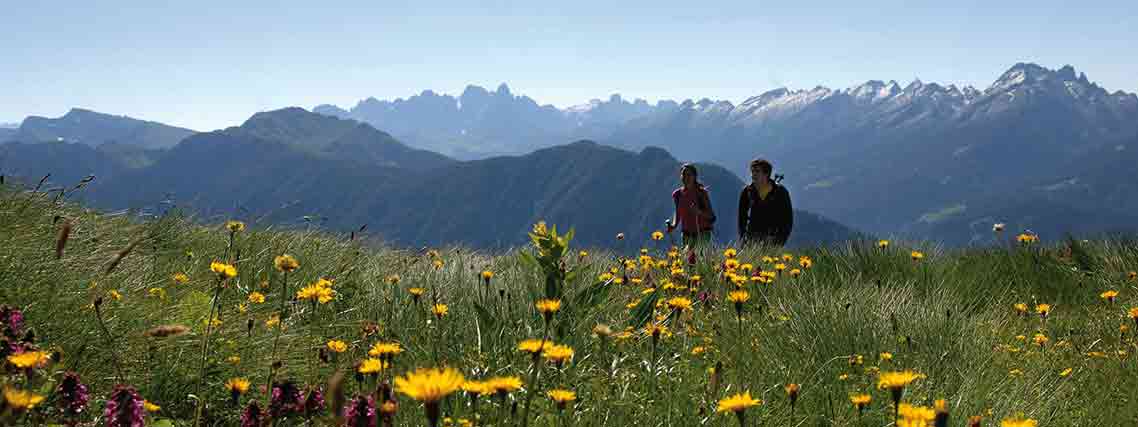 Traumhafte Aussichten im Val di Fiemme / Fleimstal (Foto: Visit Fiemme)