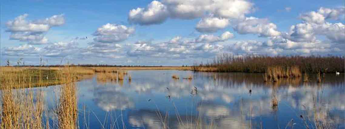 Die herrliche Landschaft des Lauwersmeers (Foto: VVV Lauwersland)