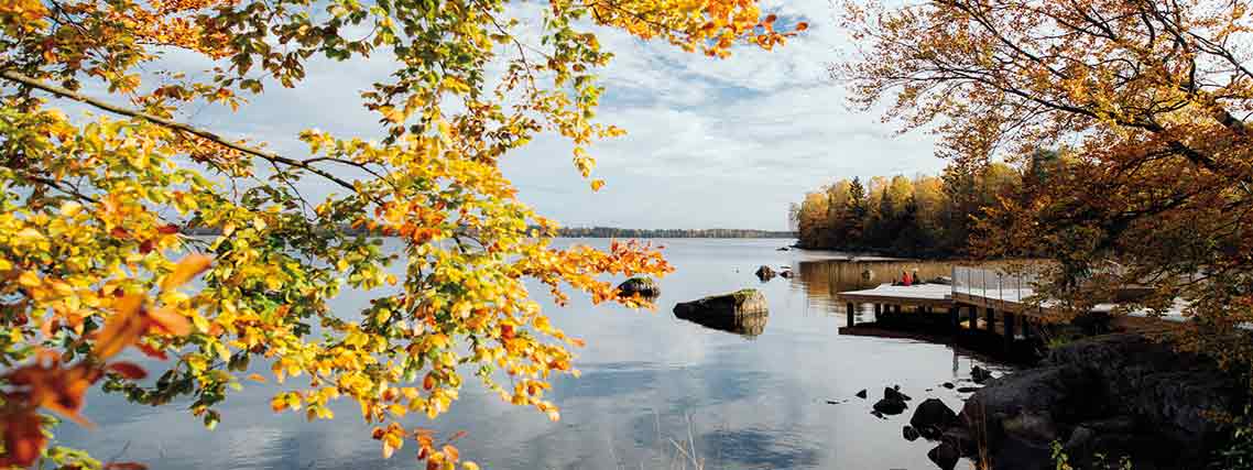Herbst in Smaland (Foto: Alexander Hall/imagebank.sweden.se)
