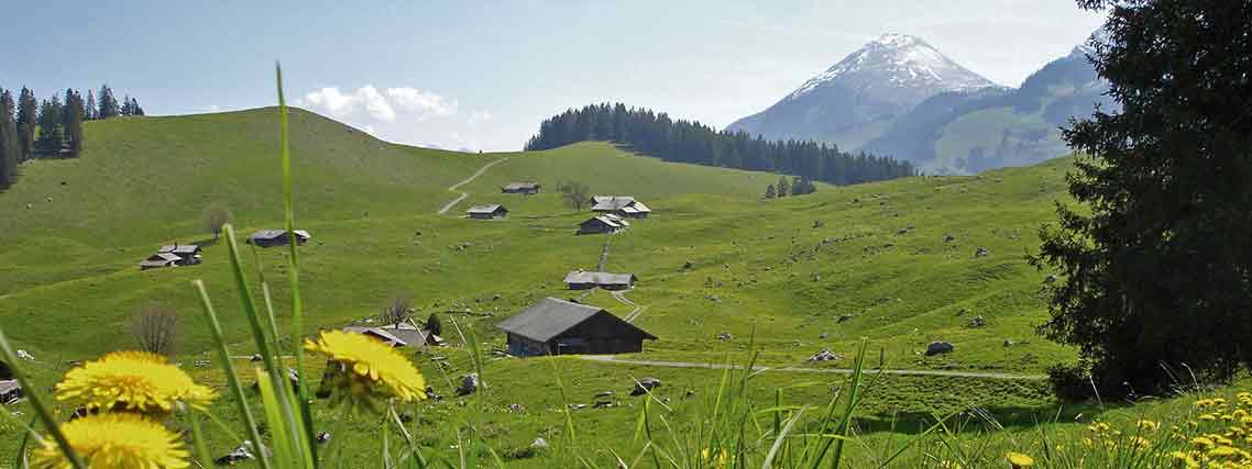 Hütten im Berner Oberland auf Alp Tschuggen (Foto: Diemtigtal Tourismus)