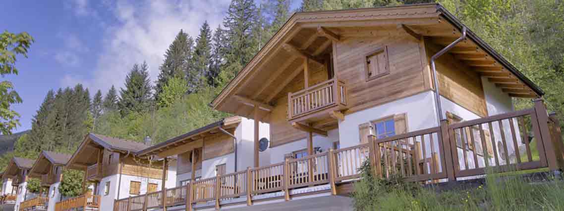 User Luxus Ferienhaus in Wald-Königsleiten