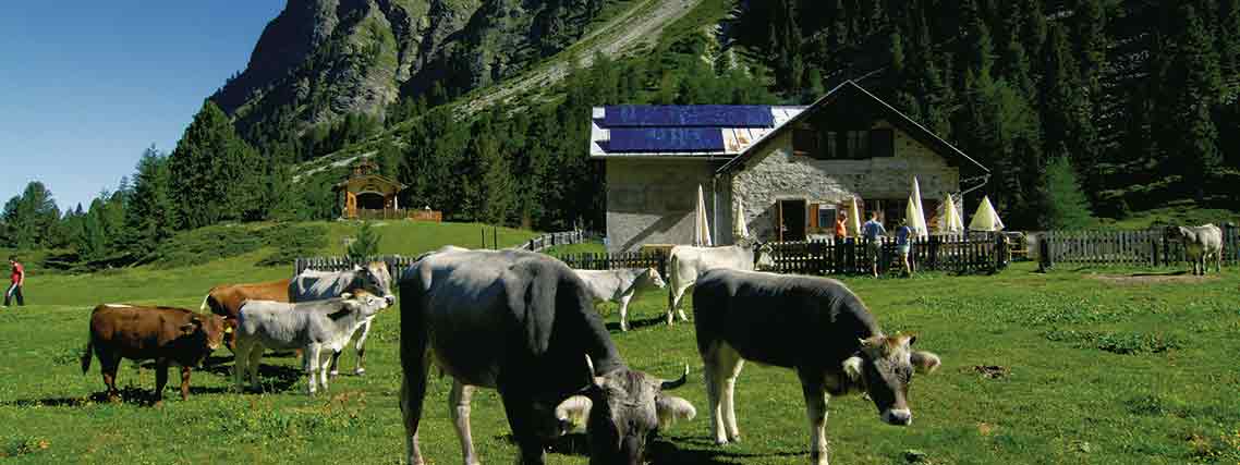 Sommerbergidylle Tiroler Oberland (Foto: TVB Tiroler Oberland, Infobüro Nauders) 