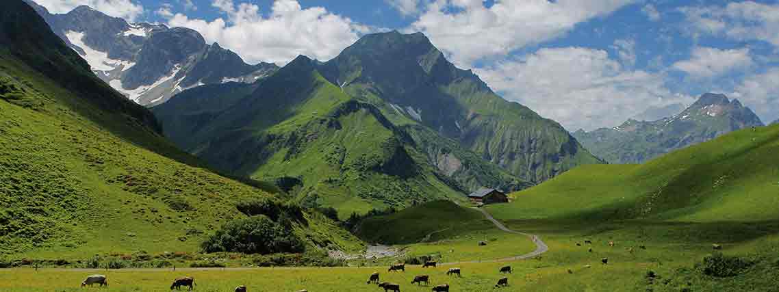 Alpe Batzen bei Schröcken im Bregenzerwald (Foto: Vorarlberg Tourismus; L. Berchtold)